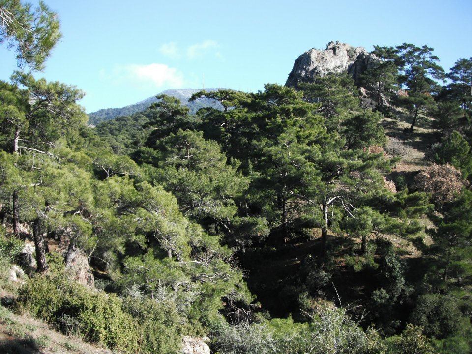 Hatice HocanÃƒÂƒÃ‚Â„ÃƒÂ‚Ã‚Â±n Objektifinden 035.jpg