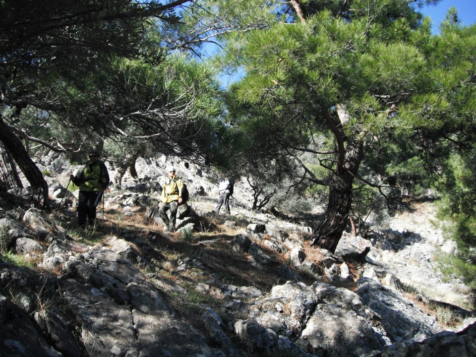 Hatice HocanÃƒÂƒÃ‚Â„ÃƒÂ‚Ã‚Â±n Objektifinden 041.jpg