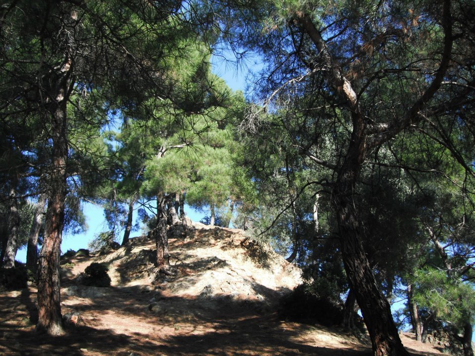 Hatice HocanÃƒÂƒÃ‚Â„ÃƒÂ‚Ã‚Â±n Objektifinden 049.jpg