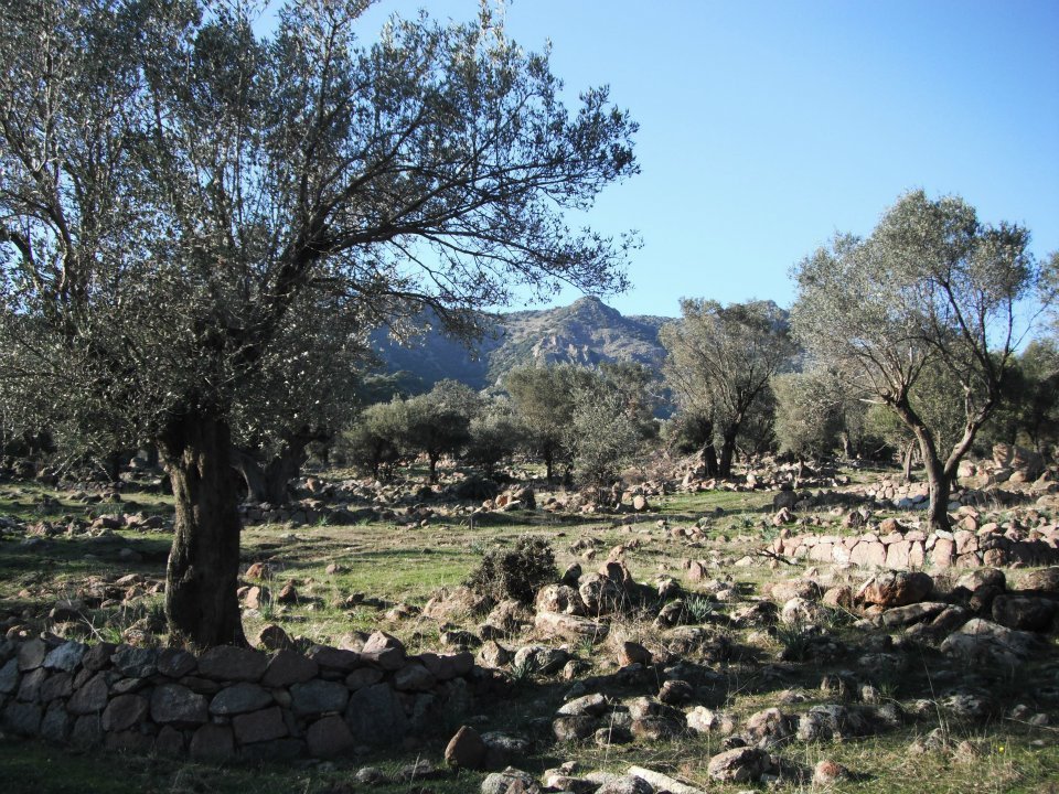 Hatice HocanÃƒÂƒÃ‚Â„ÃƒÂ‚Ã‚Â±n Objektifinden 053.jpg