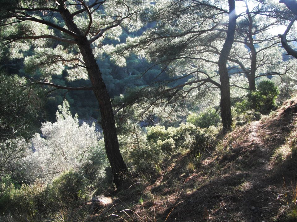 Hatice HocanÃƒÂƒÃ‚Â„ÃƒÂ‚Ã‚Â±n Objektifinden 054.jpg