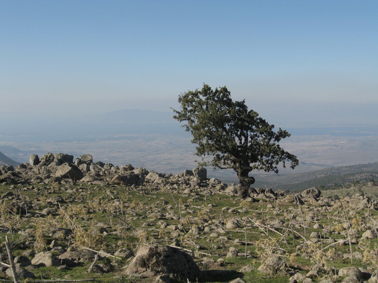 Hatundere DumanlÃƒÂƒÃ‚Â„ÃƒÂ‚Ã‚Â±daÃƒÂƒÃ‚Â„ÃƒÂ‚Ã‚ÂŸ 026.jpg