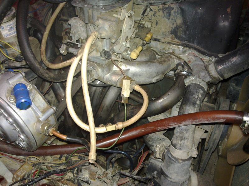 Headers Ekzos 1 (10).jpg