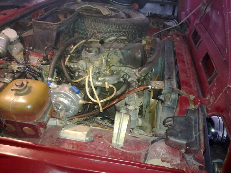 Headers Ekzos 1 (12).jpg