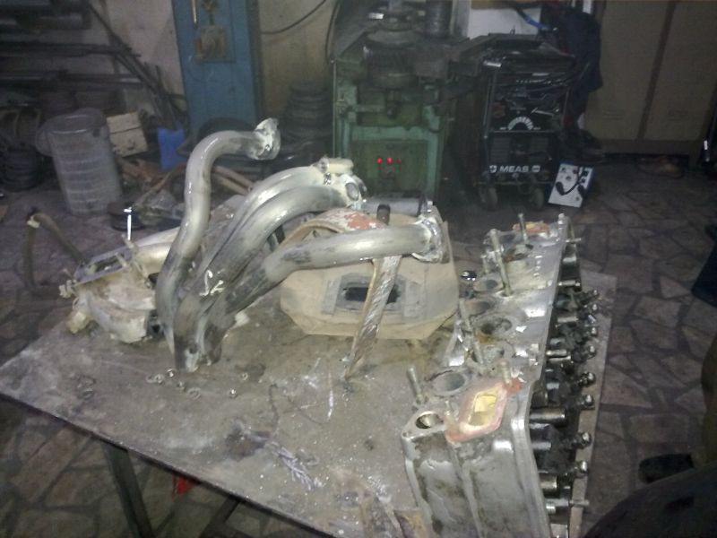 Headers Ekzos 1 (2).jpg