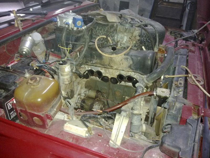 Headers Ekzos 1 (9).jpg