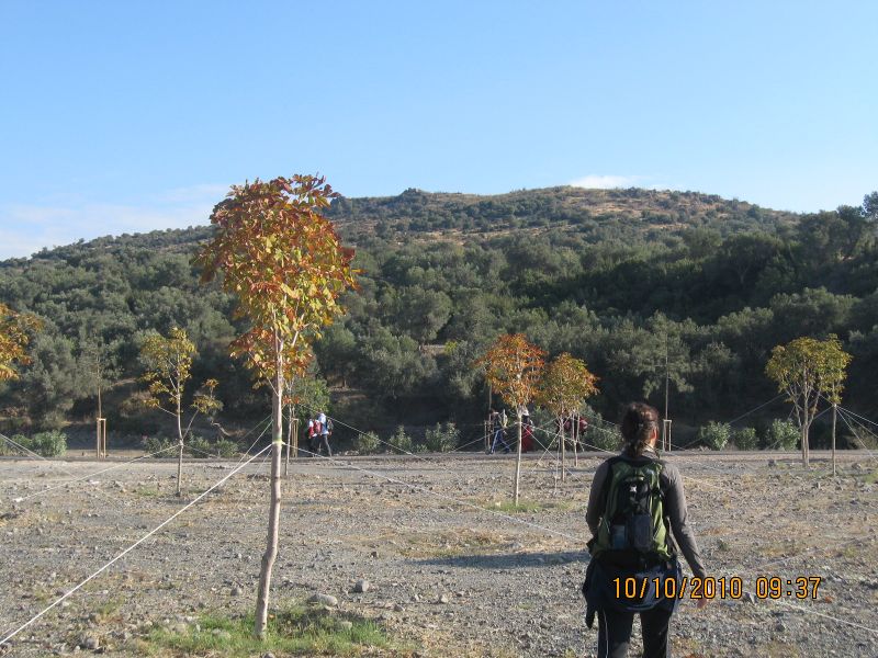 Homeros - 10 Ekim 10 004.jpg