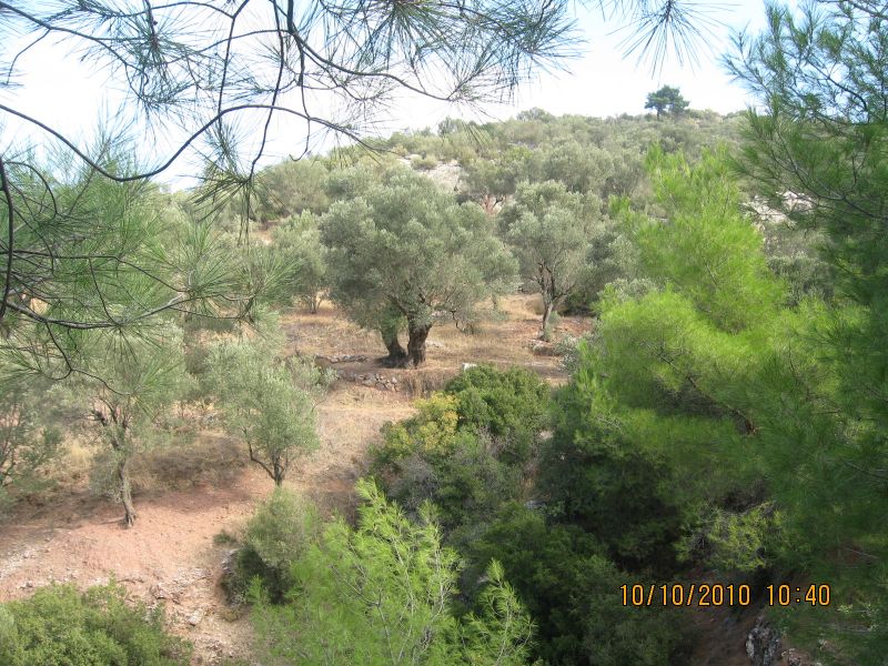 Homeros - 10 Ekim 10 017.jpg