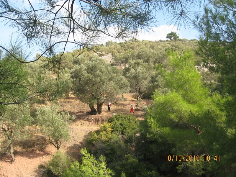 Homeros - 10 Ekim 10 018.jpg