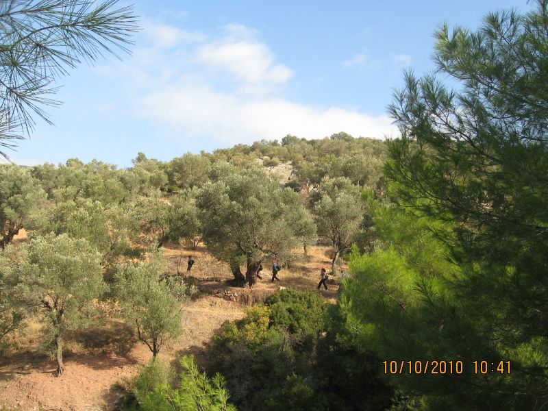 Homeros - 10 Ekim 10 019.jpg