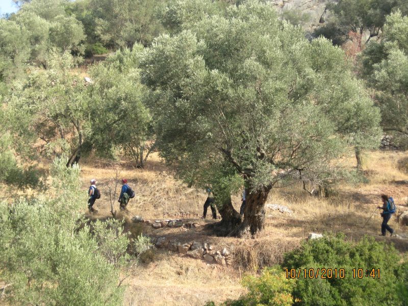 Homeros - 10 Ekim 10 020.jpg