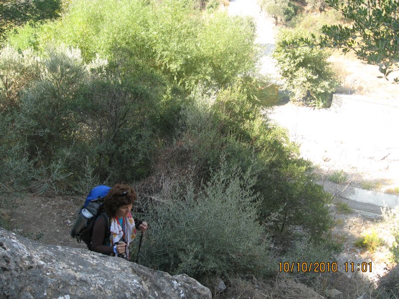 Homeros - 10 Ekim 10 026.jpg