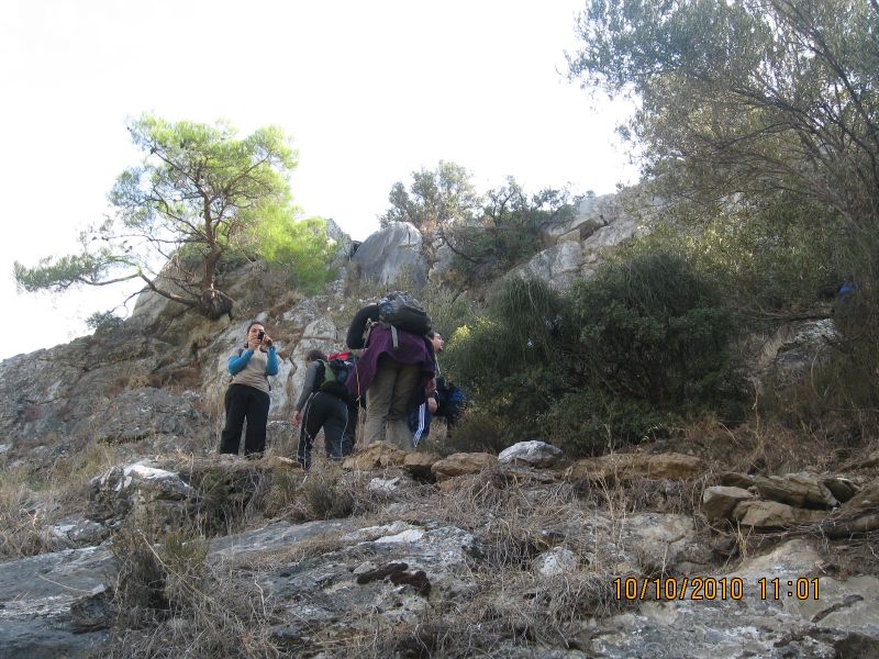 Homeros - 10 Ekim 10 027.jpg