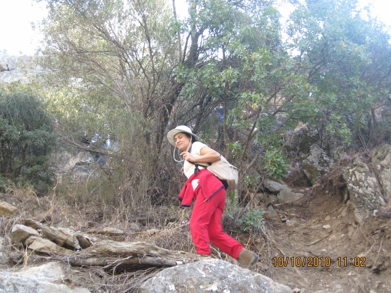 Homeros - 10 Ekim 10 028.jpg