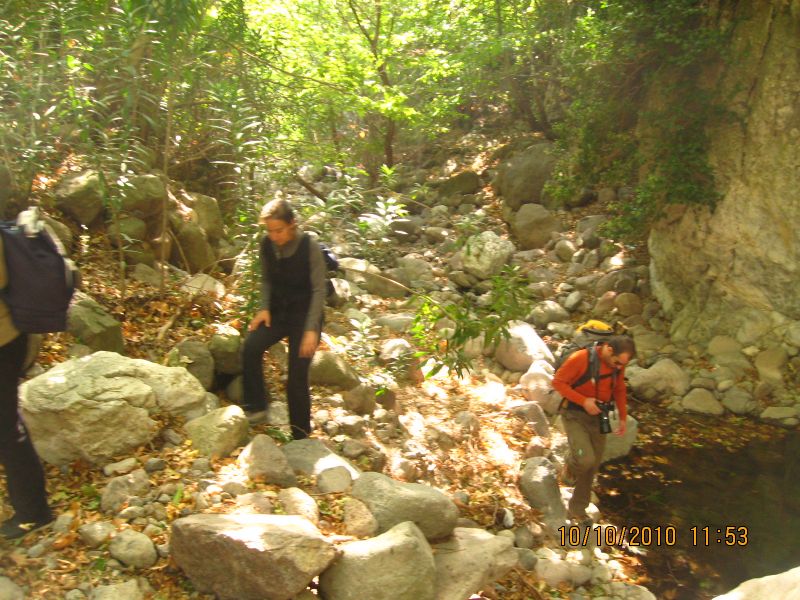 Homeros - 10 Ekim 10 039.jpg