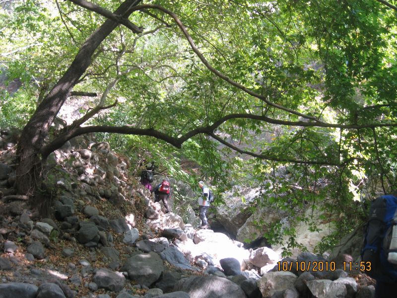 Homeros - 10 Ekim 10 040.jpg