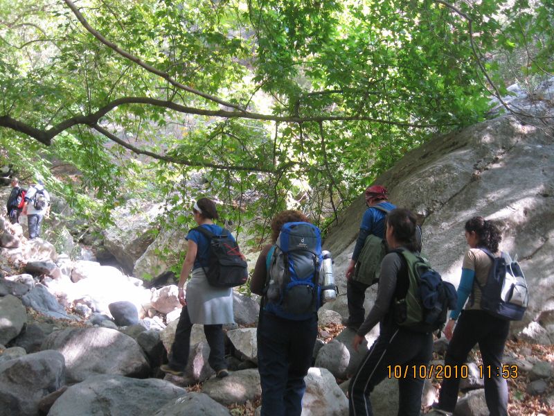 Homeros - 10 Ekim 10 041.jpg