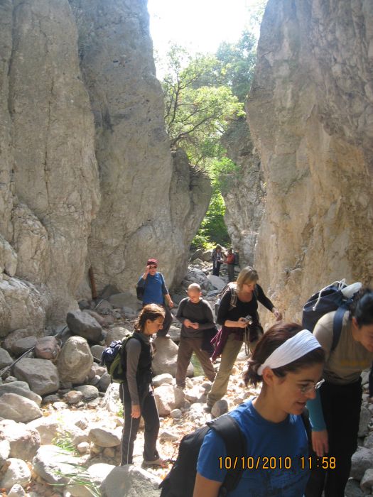 Homeros - 10 Ekim 10 042.jpg