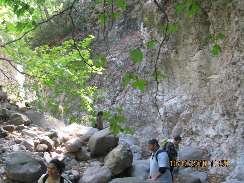 Homeros - 10 Ekim 10 043.jpg