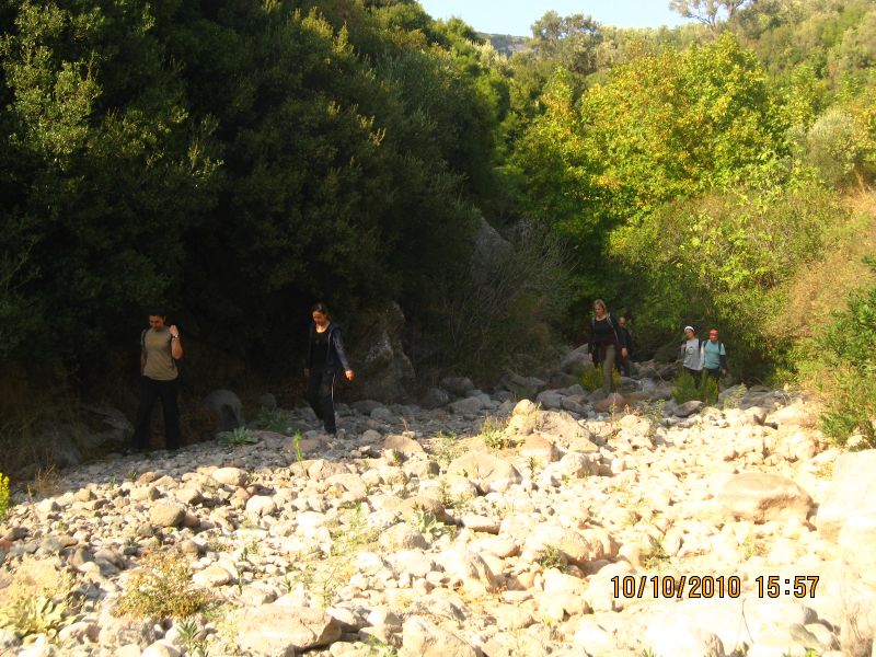 Homeros - 10 Ekim 10 064.jpg