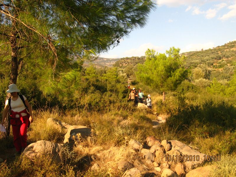 Homeros - 10 Ekim 10 070.jpg