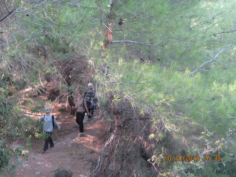 Homeros - 10 Ekim 10 071.jpg