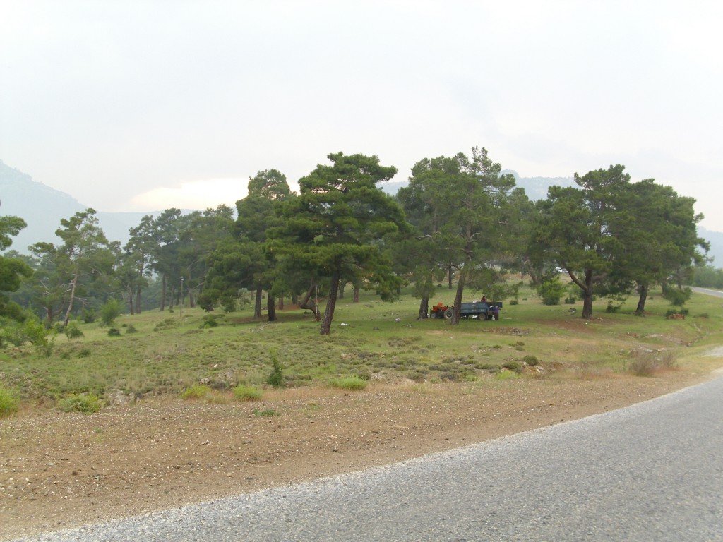 HPIM0372.jpg