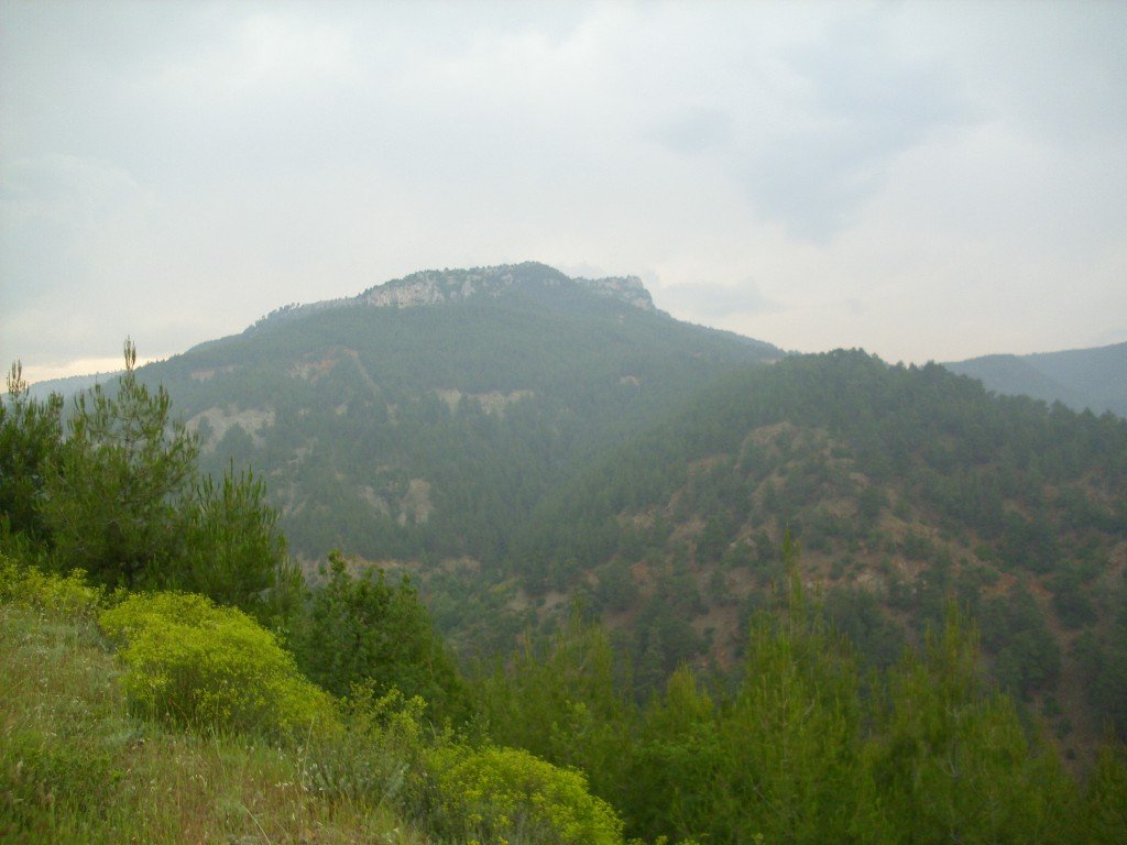 HPIM0377.jpg