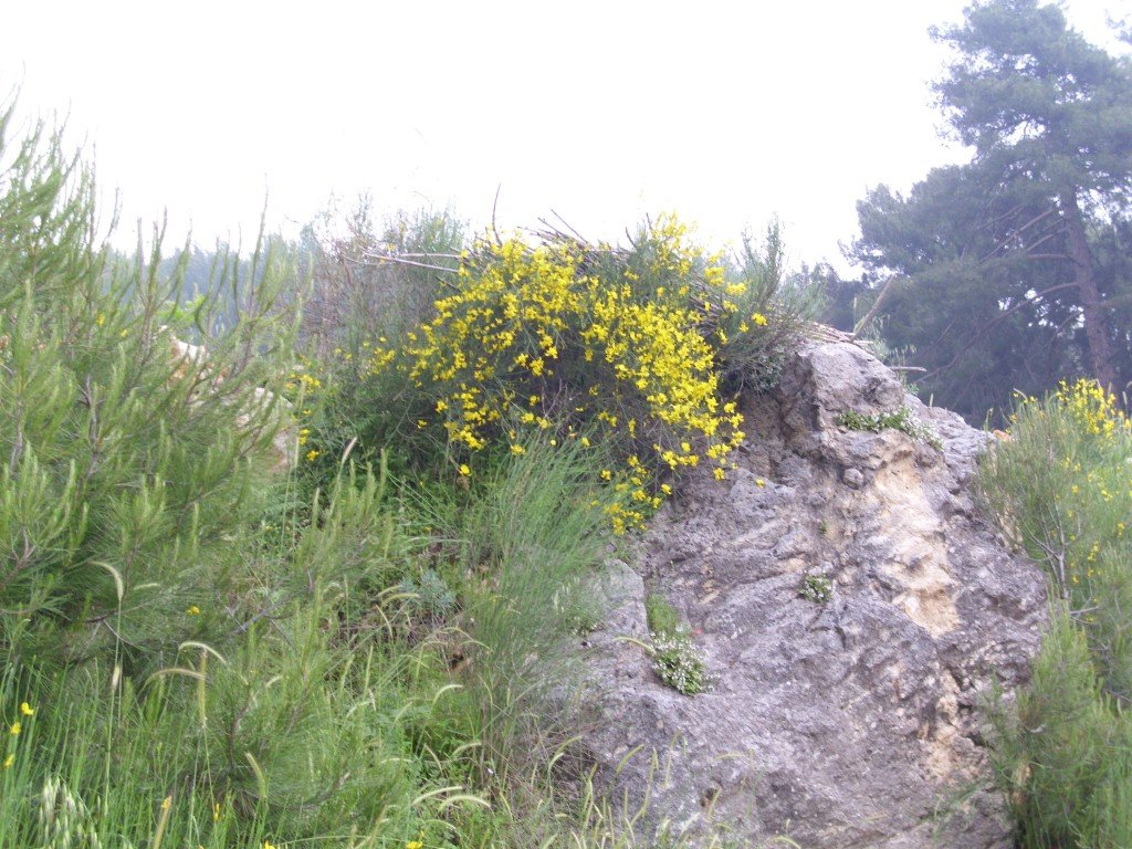 HPIM0380.jpg