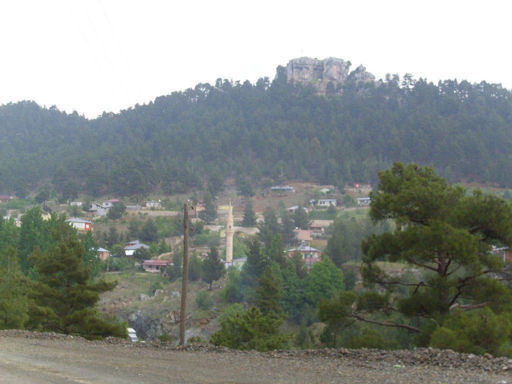 HPIM0383.jpg