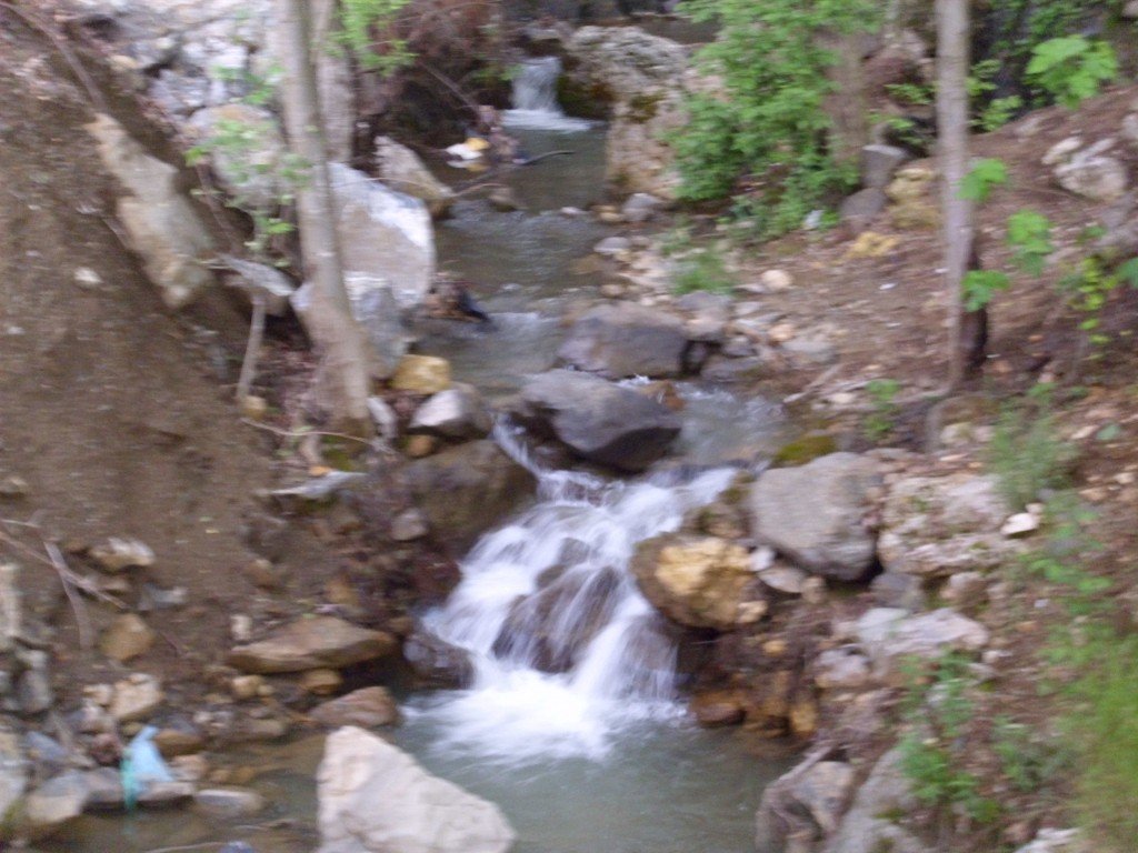 HPIM0388.jpg