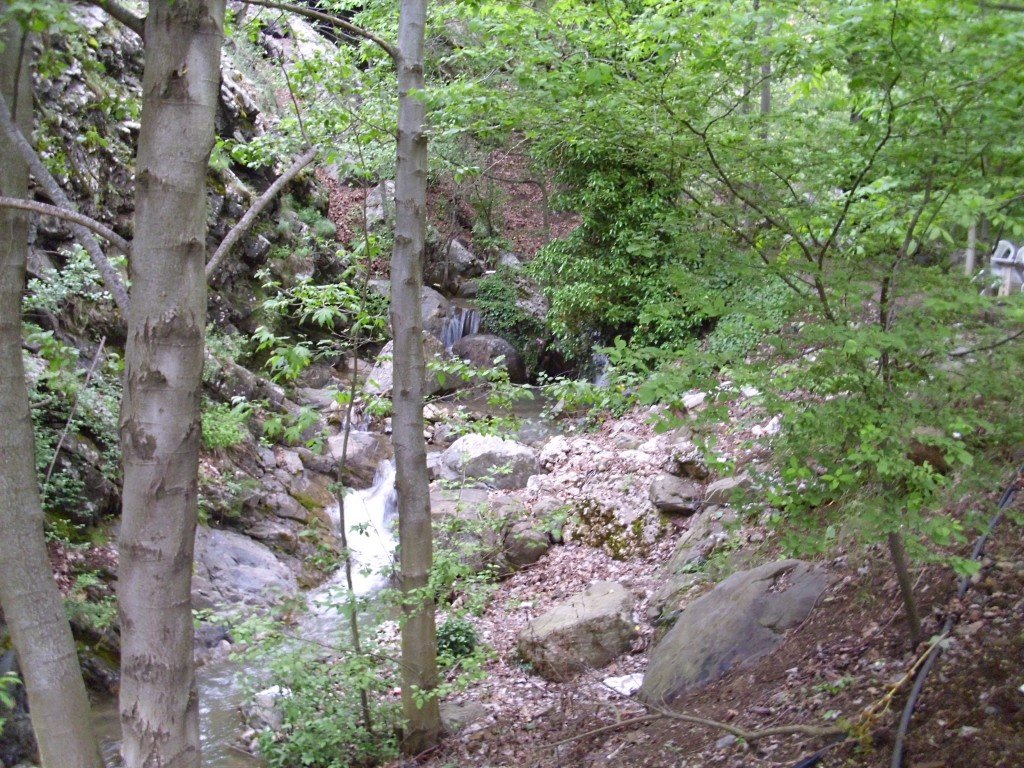 HPIM0389.jpg