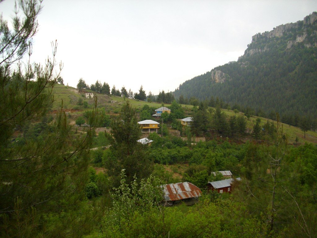 HPIM0399.jpg