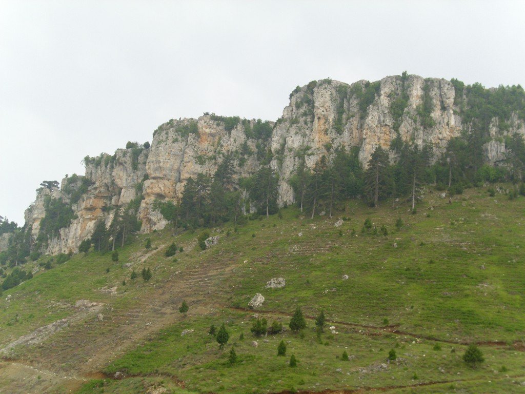 HPIM0410.jpg