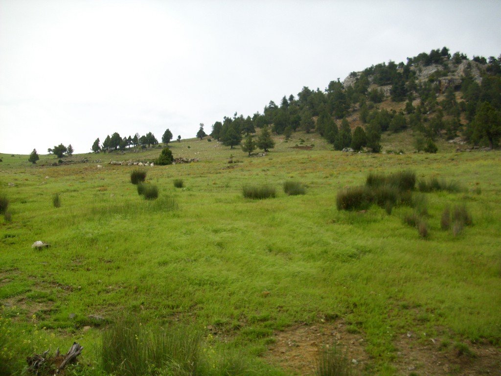 HPIM0414.jpg