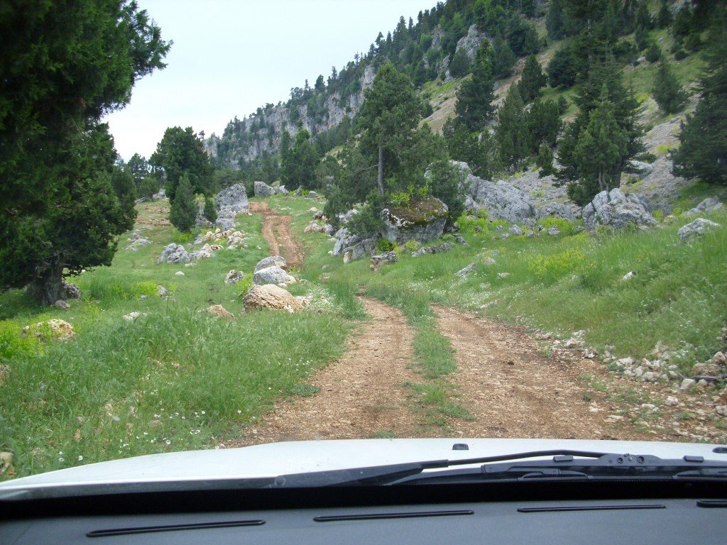 HPIM0431.jpg