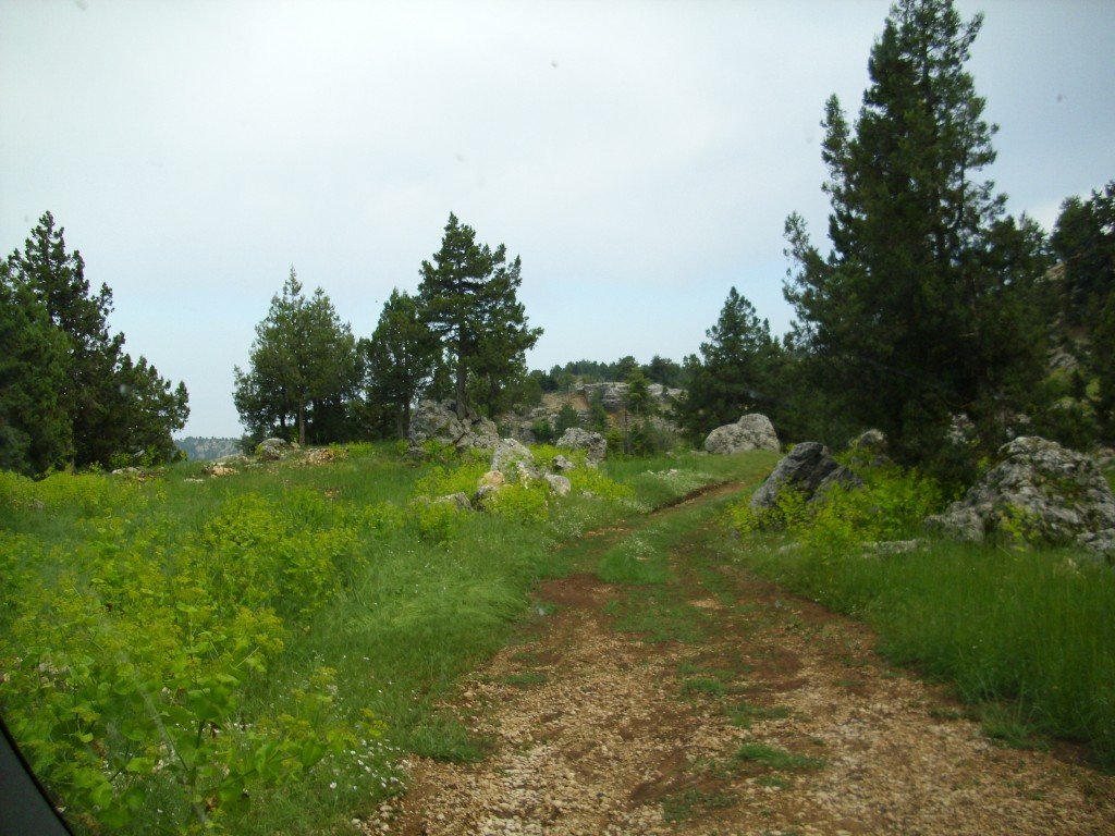 HPIM0433.jpg