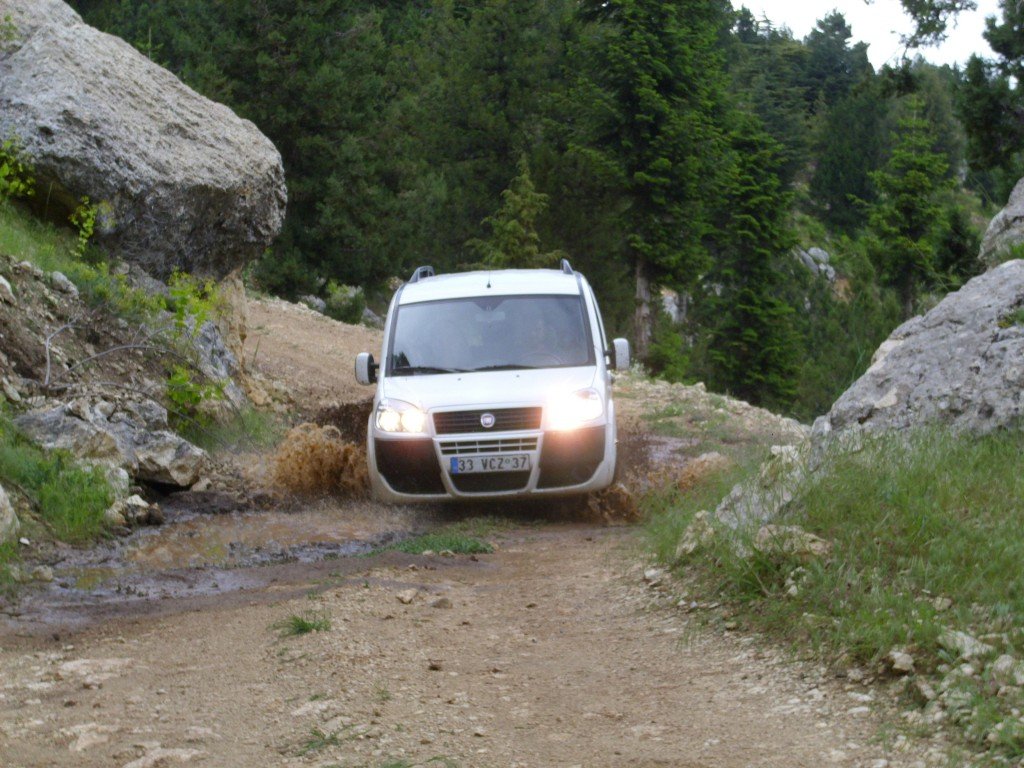 HPIM0445.jpg