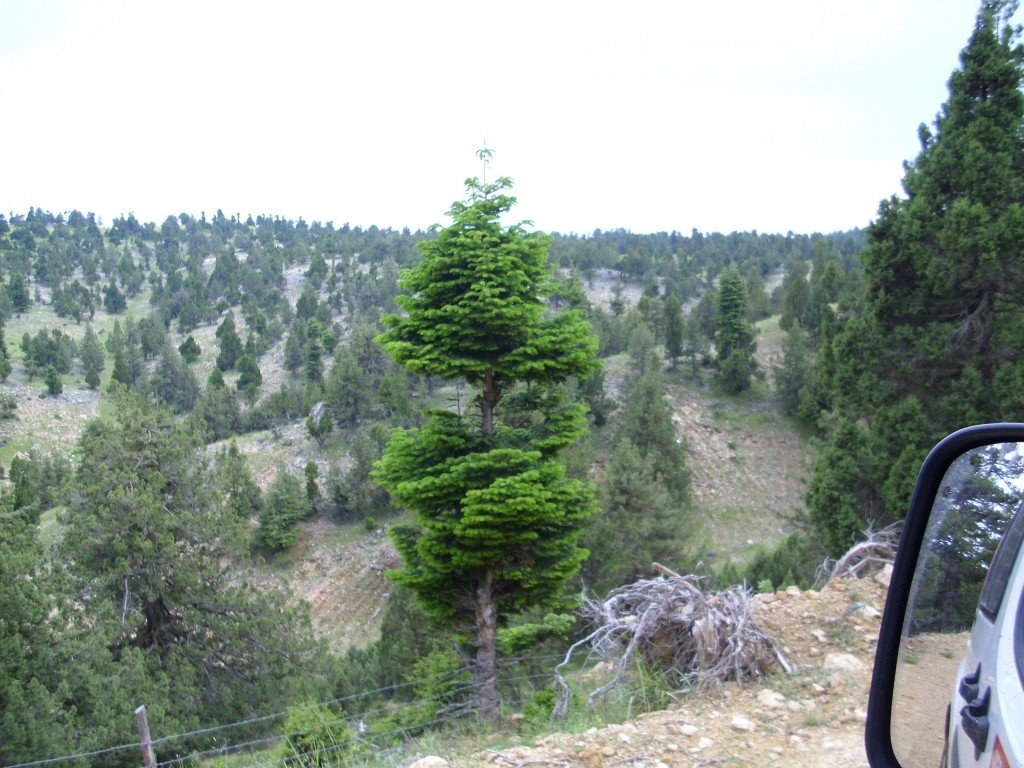 HPIM0446.jpg