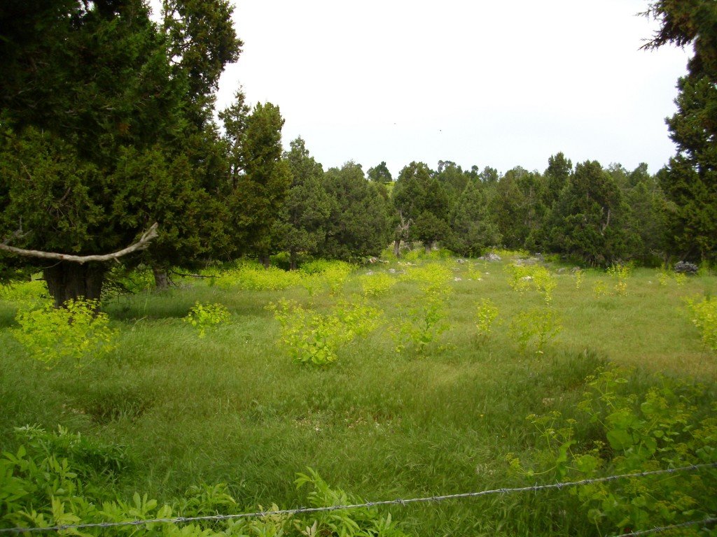 HPIM0458.jpg
