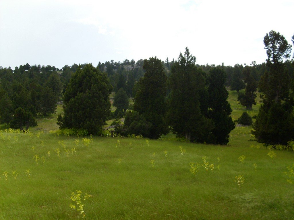 HPIM0463.jpg