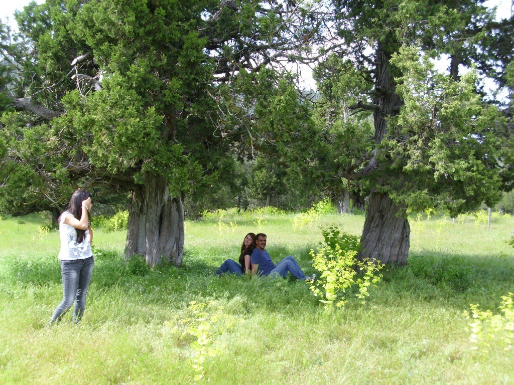 HPIM0482.jpg
