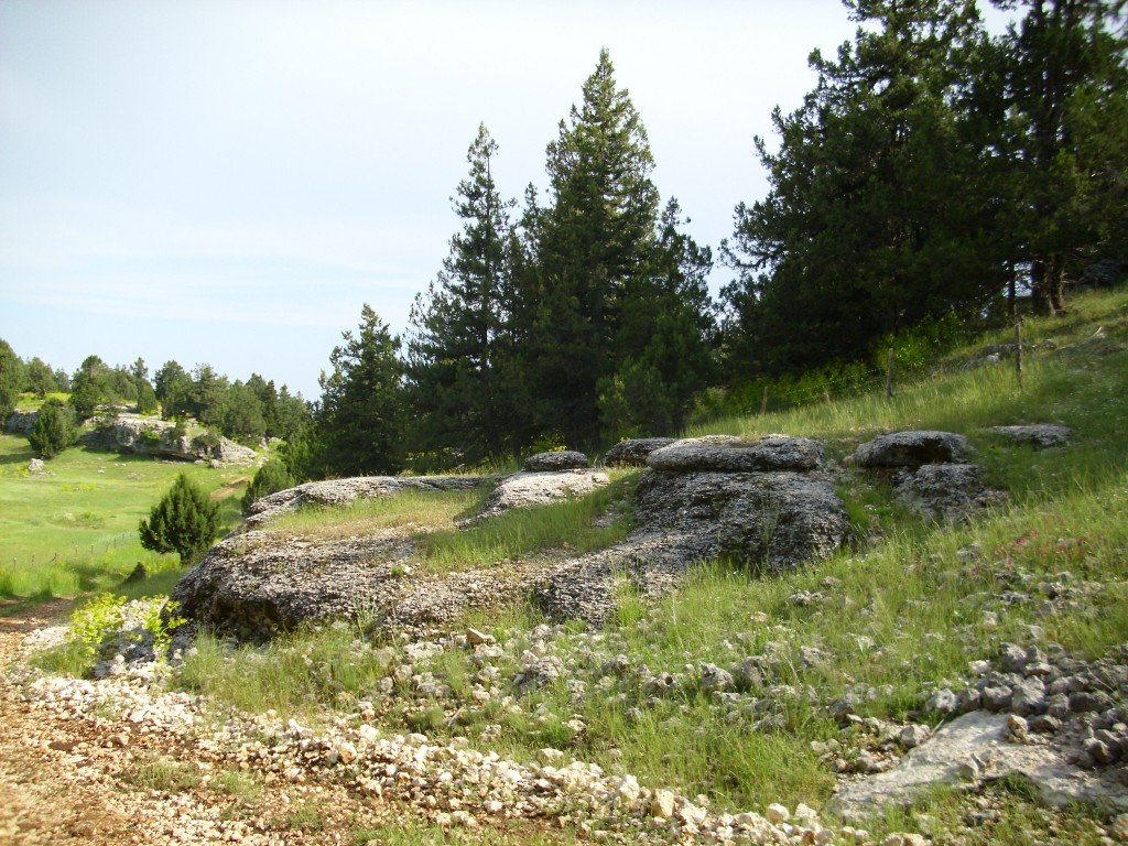 HPIM0513.jpg