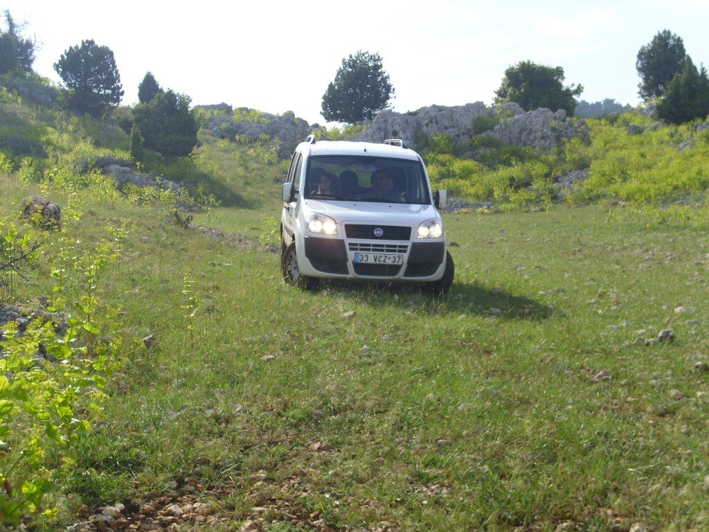 HPIM0547.jpg
