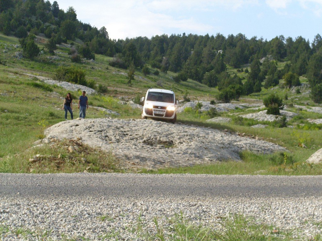 HPIM0560.jpg