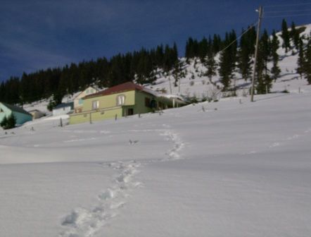 HPIM0608.jpg