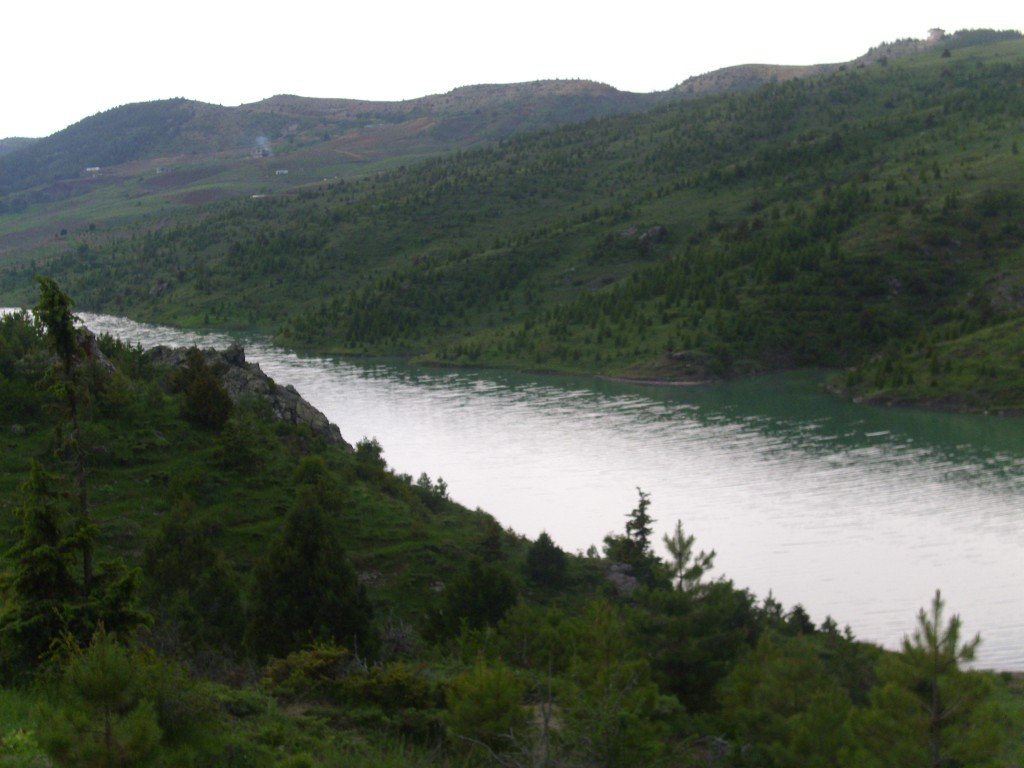 HPIM0658.jpg