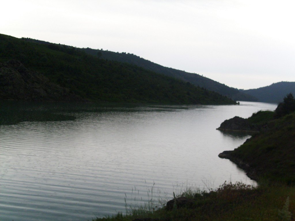 HPIM0678.jpg