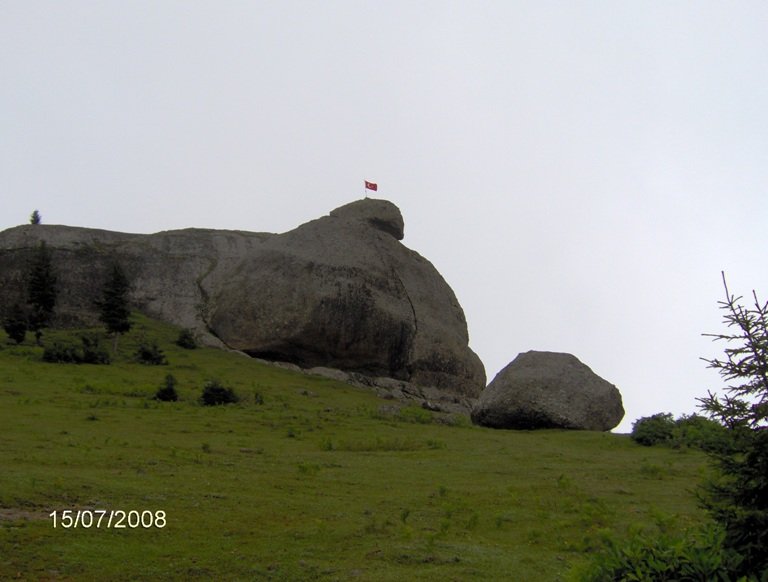 HPIM0685.jpg