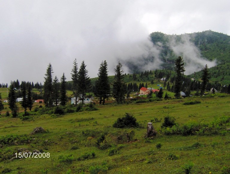 HPIM0687.jpg